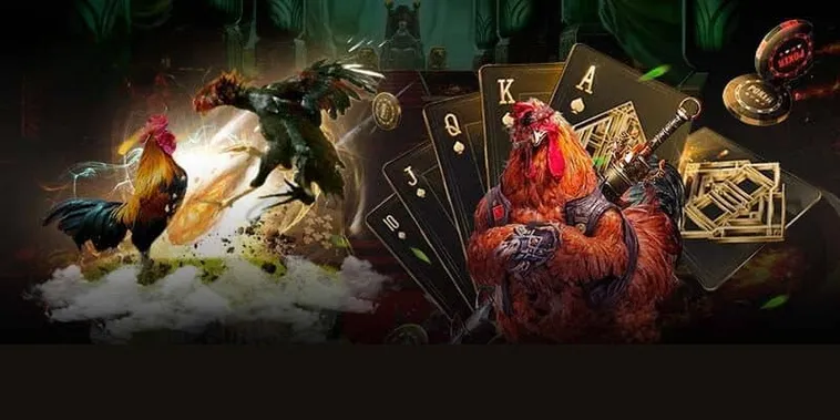 Bật Mí Cách Chơi Đá Gà GA28 Tại 77Loc Luôn Thắng Từ Cao Thủ